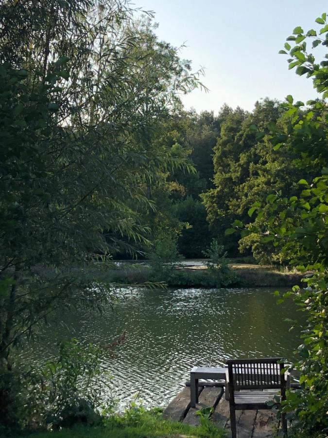 Loigné-sur-MayenneLa Francoisiere住宿加早餐旅馆 外观 照片