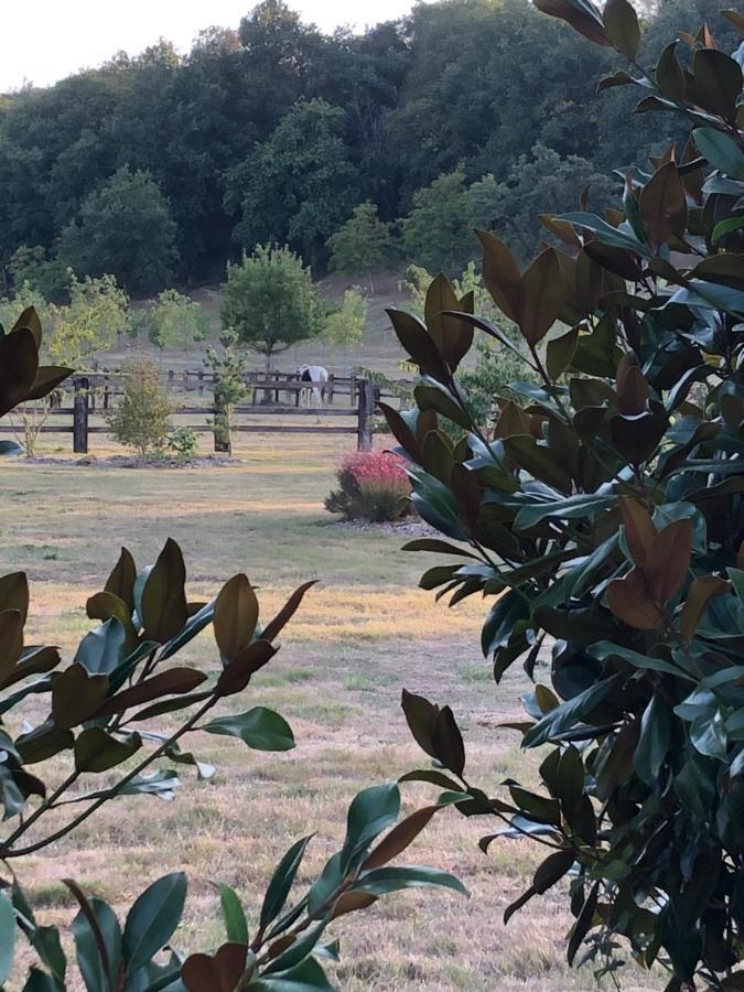Loigné-sur-MayenneLa Francoisiere住宿加早餐旅馆 外观 照片