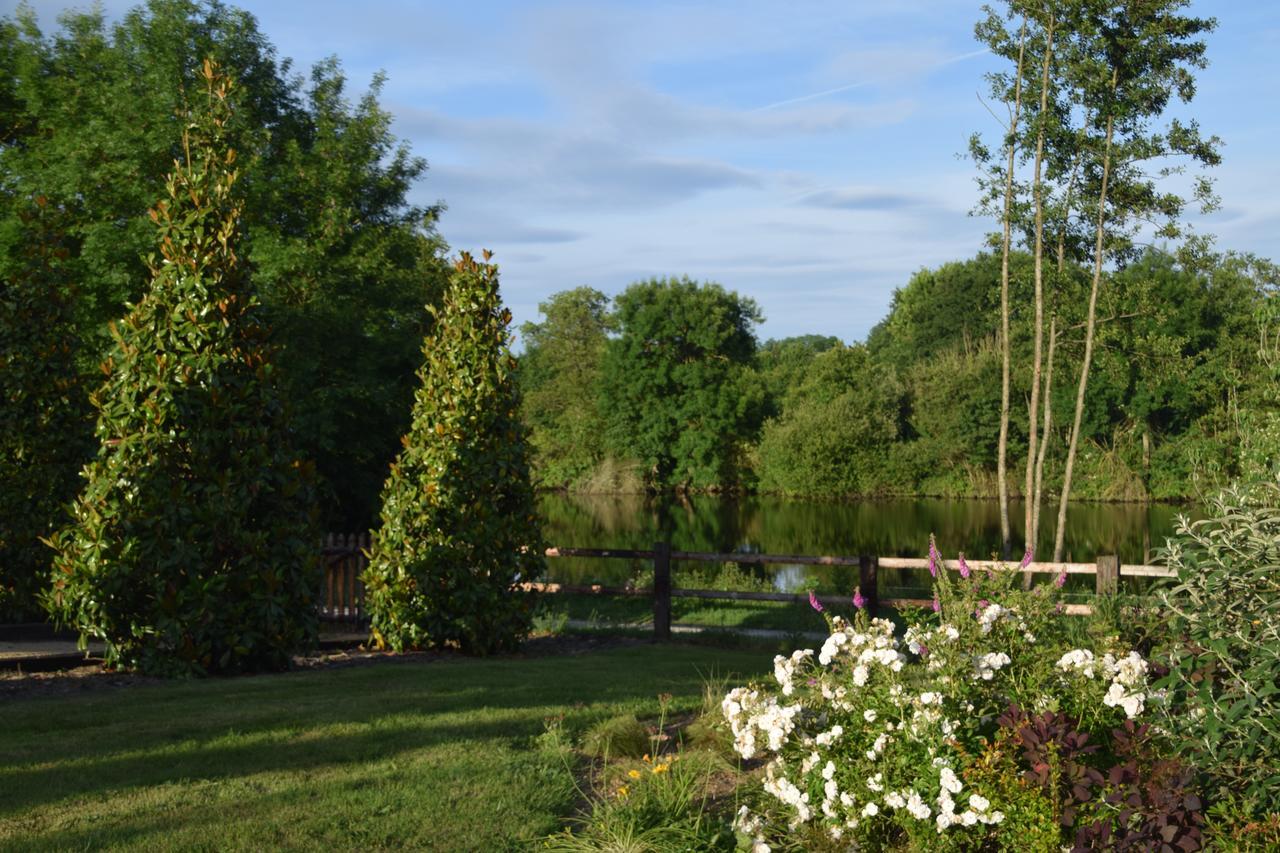 Loigné-sur-MayenneLa Francoisiere住宿加早餐旅馆 外观 照片