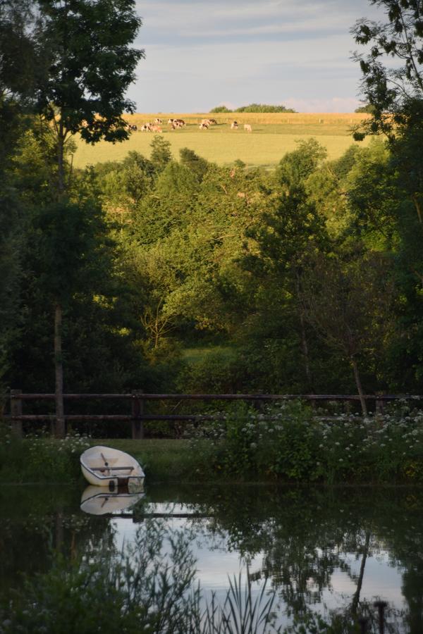 Loigné-sur-MayenneLa Francoisiere住宿加早餐旅馆 外观 照片